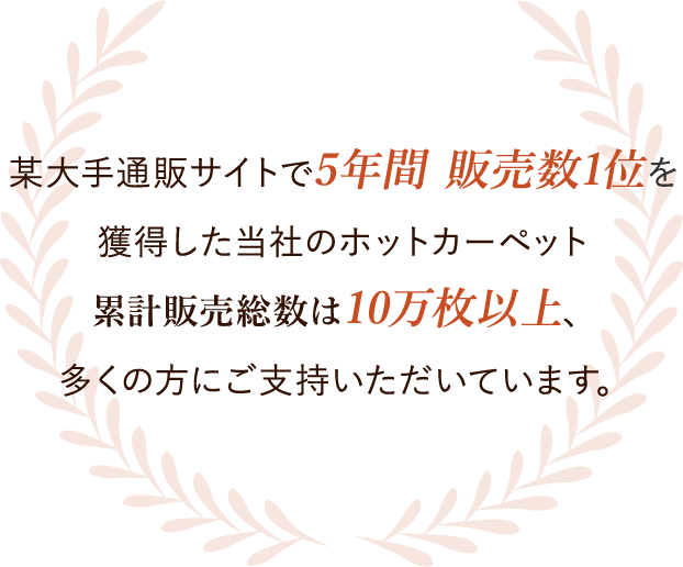 某大手通販サイトで5年間販売数1位を獲得した当社のホットカーペット。累計販売総数は10万枚以上、多くの方にご支持いただいています。