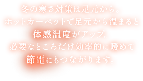 冬の寒さ対策は足元から。ホットカーペットで足元から温まると体感温度がアップ。必要なところだけ効率的に暖めて節電にもつながります。